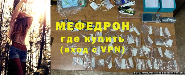 шишки Горно-Алтайск