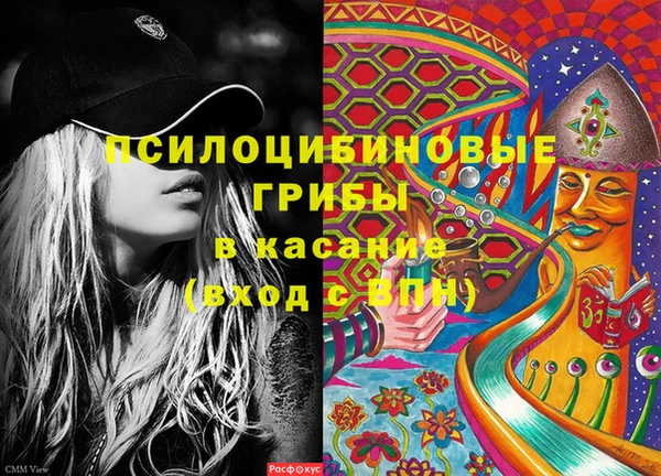 спайс Вяземский