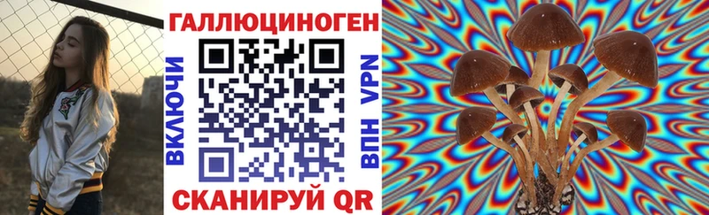 гидра зеркало  Фрязино  Псилоцибиновые грибы мицелий 
